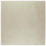 Notorious in Private Eye 3"x15" Unpolished Tile