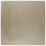 Notorious in Sugar Daddy 12"x12" Unpolished Tile