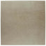 Notorious in Suspense 3"x15" Unpolished Tile