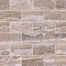 Veneto in Gray - 2x4 Tile