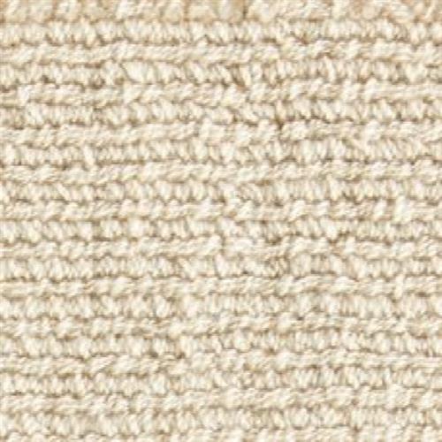Nexus Dazzle in Chamois Carpet