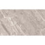 Nambia in Taupe Polished Tile