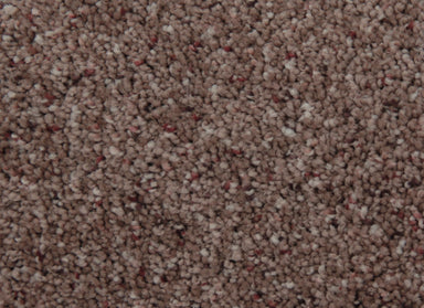 Newport in Weathered Taupe Carpet
