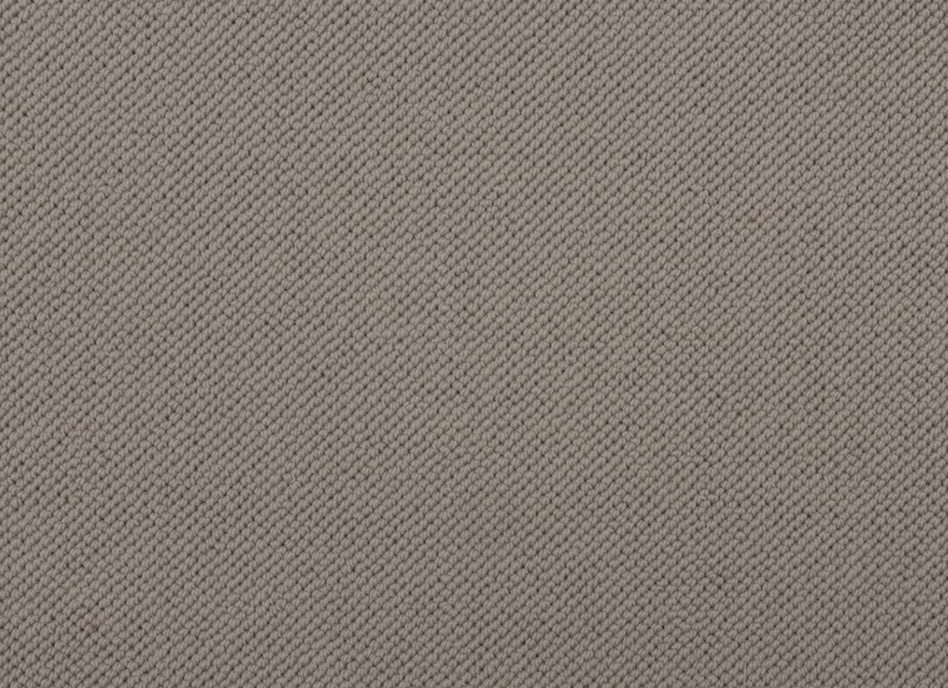 Merino Dreams in Composed Carpet