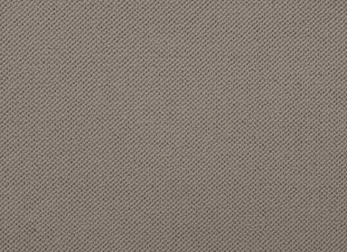 Merino Dreams in Composed Carpet