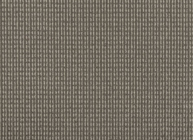 Established Appeal in Universal Carpet
