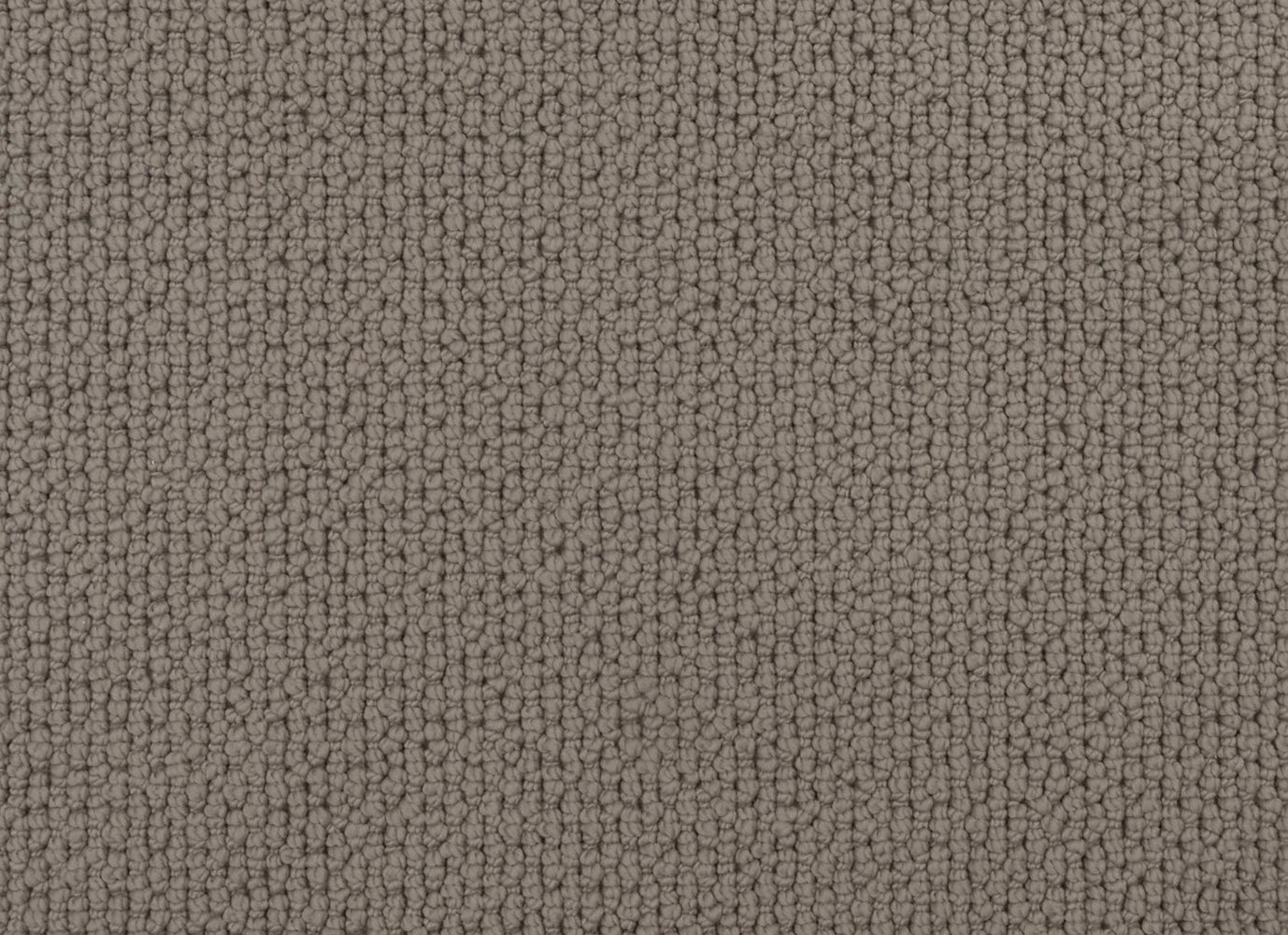 Merino Design in Georgetown Carpet