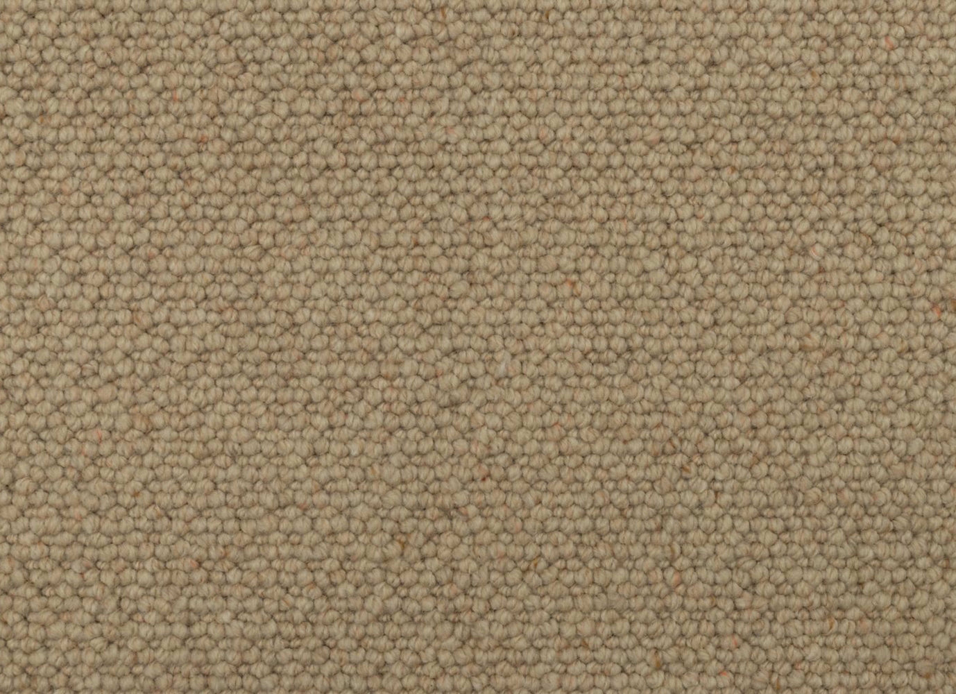 Everly in Sundial Carpet