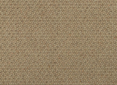 Everly in Sundial Carpet