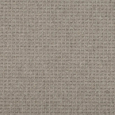 Adderley in Taupe Hue Carpet