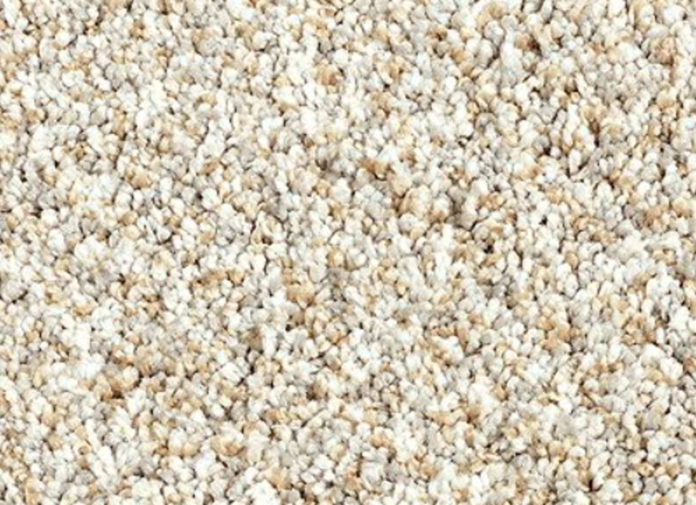 Essential Factors I in Stoney Path Carpet