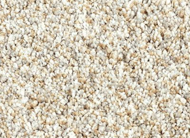 Essential Factors I in Stoney Path Carpet