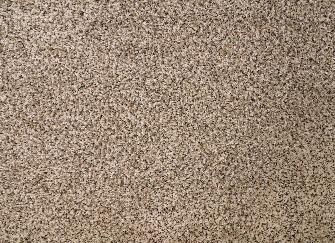 Rustic Edge I in Pebble Path Carpet