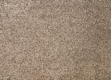 Rustic Edge I in Pebble Path Carpet