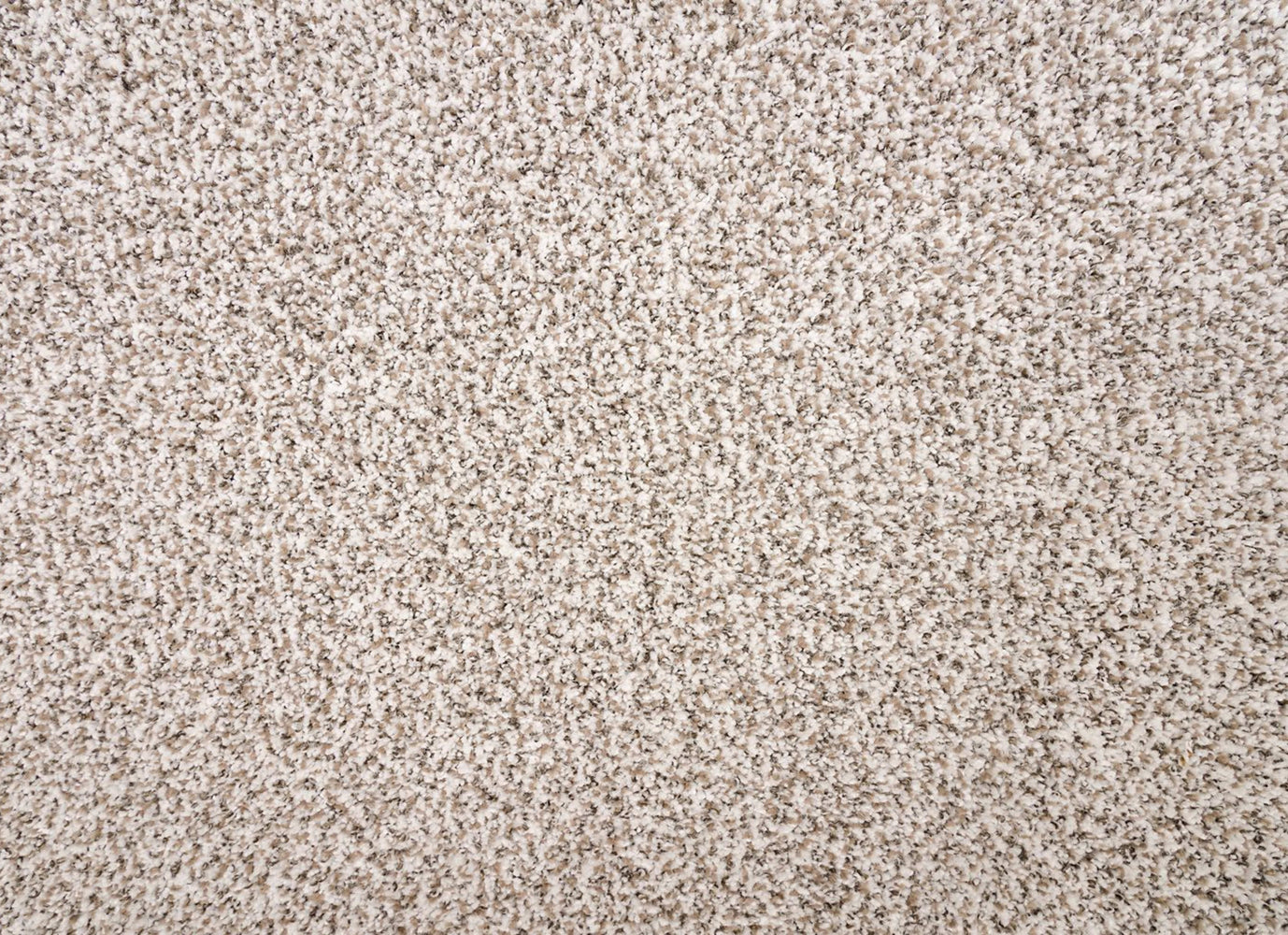 Rustic Edge II in Goose Down           Carpet