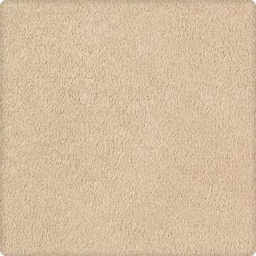 Coastal Beige