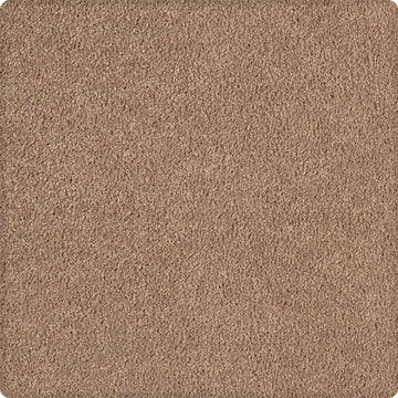 Tempting Taupe