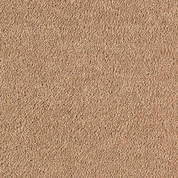 Desert Sand