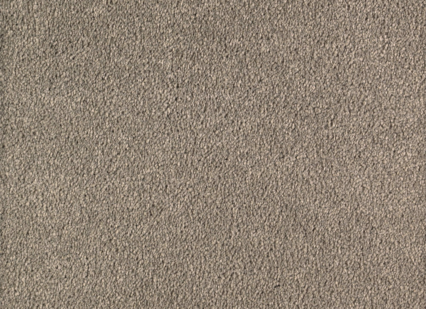 Infinite Touch in Seastone Carpet