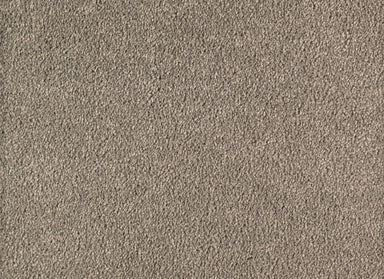Infinite Touch in Seastone Carpet