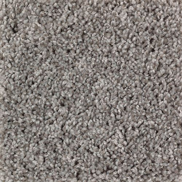 Starry Taupe
