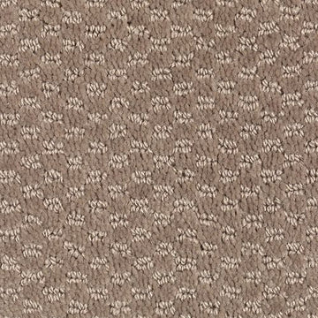 Havana Tan