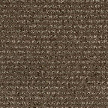 Cocoa