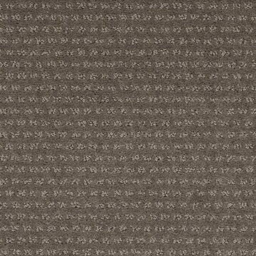 Shadow Taupe