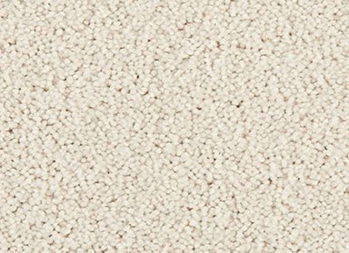 Delightful Intent in Softligts Carpet