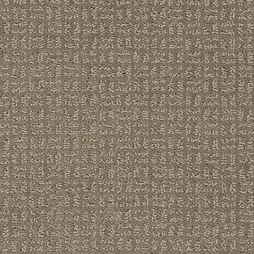 Taupe Shadow