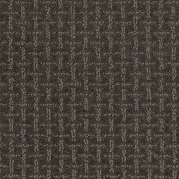 Universal Umber