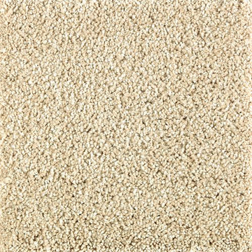 Parchment