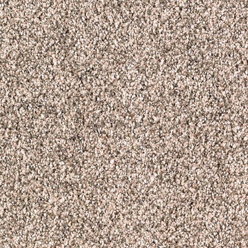 Coastal Beige