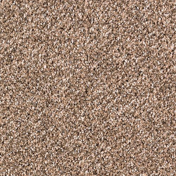 Allspice