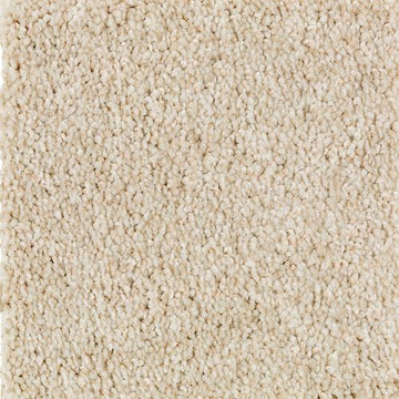 Enchanting Beige