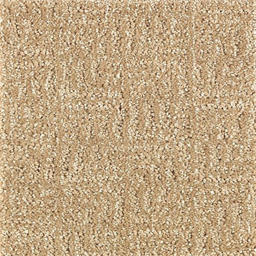 Brushed Suede