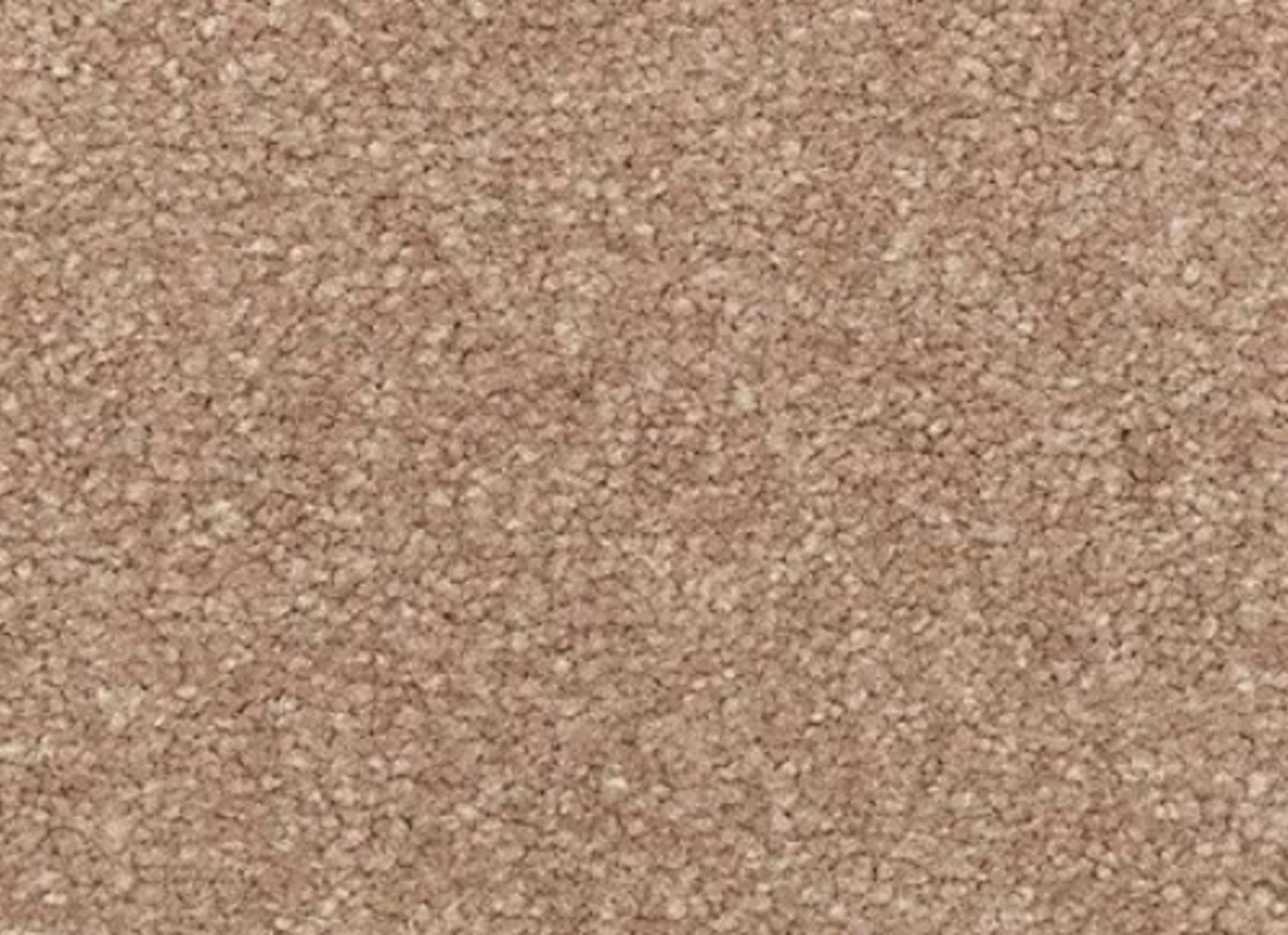 Creative Outlet II in Cattail Carpet