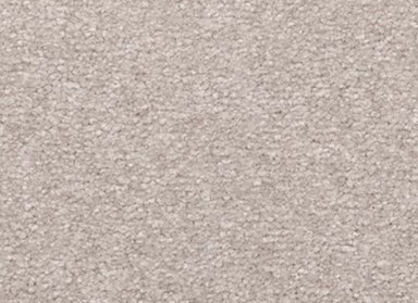 Creative Outlet III in Polished Nickel Carpet