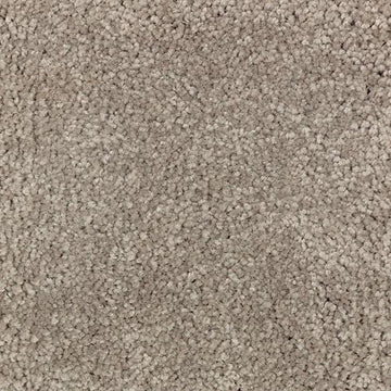 Tomorrow's Taupe