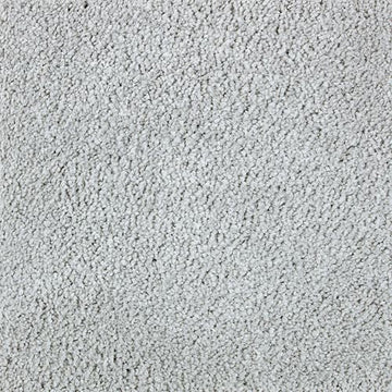 Winter Ash