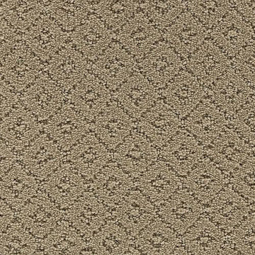 Seashell