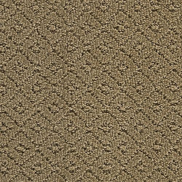 Rococo Beige
