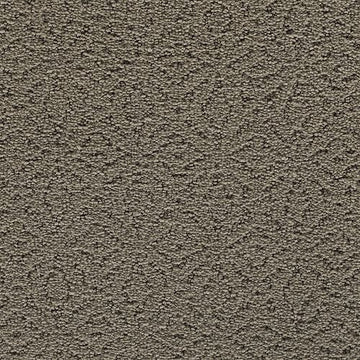 Moonlit Grey