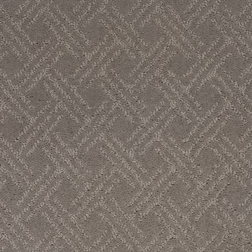 Moonlit Grey