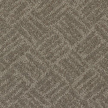 Noveaux Taupe