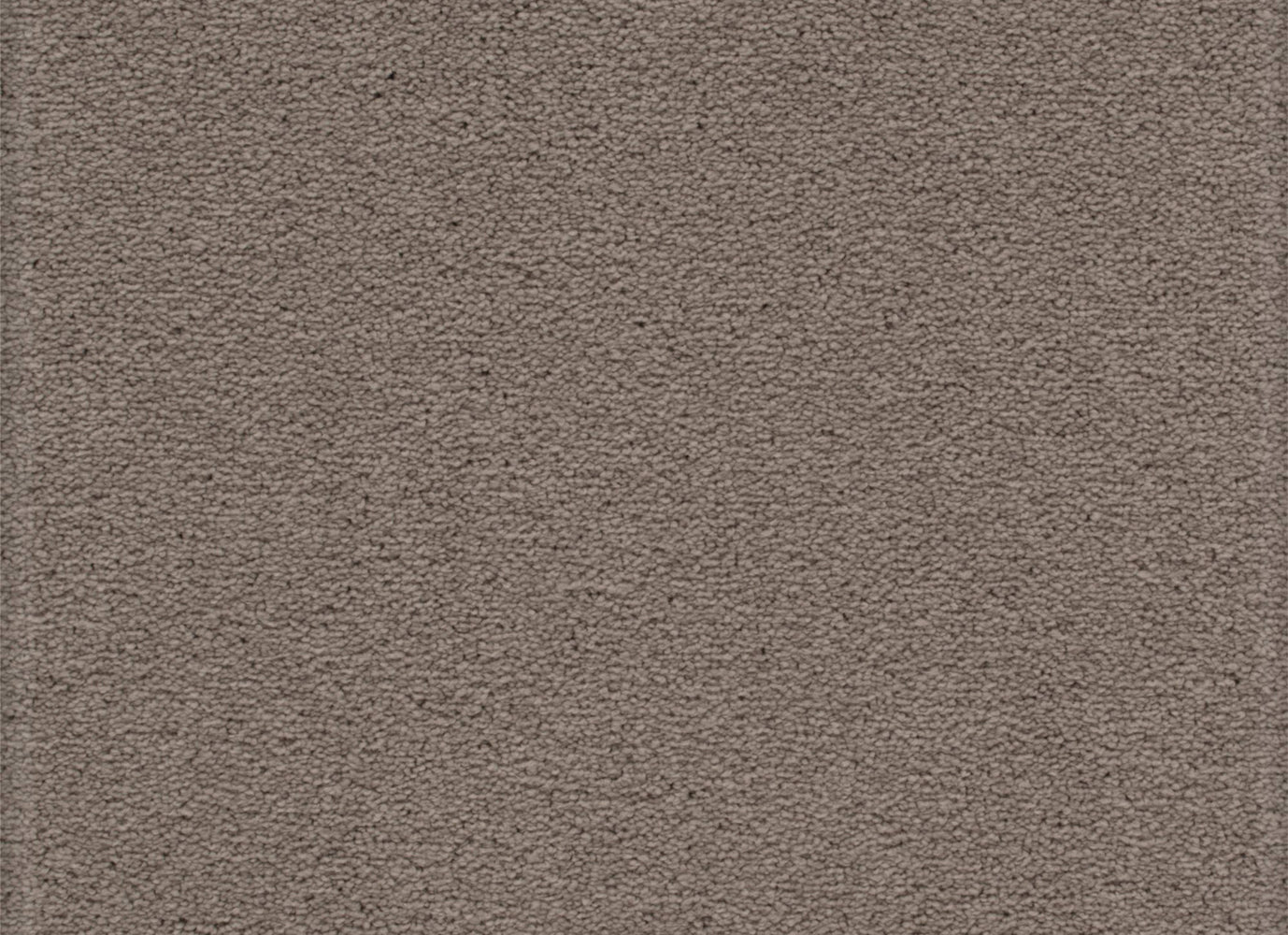 Tempting Appeal in Poetic Carpet