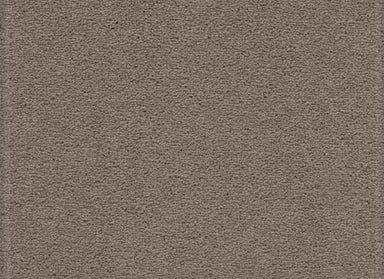 Tempting Appeal in Poetic Carpet