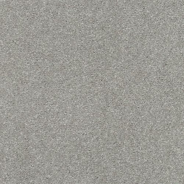 Ice Grey