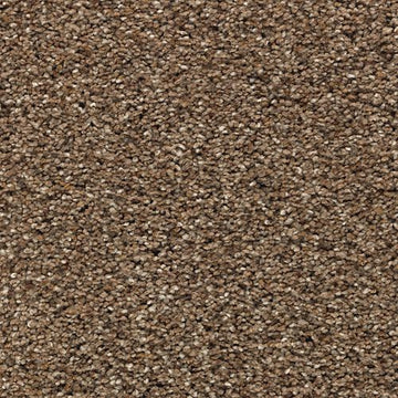 Toasted Seed