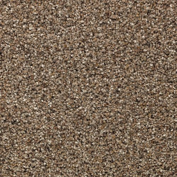 Bashful Taupe